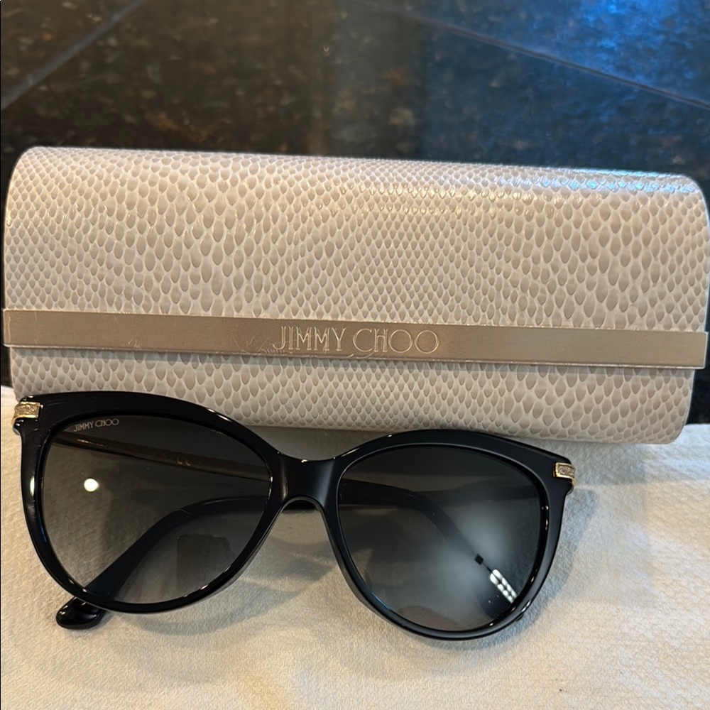 Jimmy Choo Black Sunglasses with Textured Case